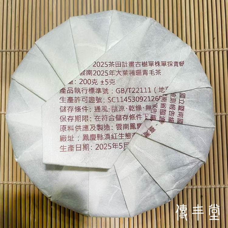 2025年 五百齡過渡型古樹單株青餅  (B.馬庄單株)